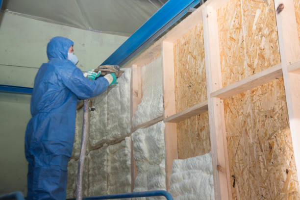 Insulation Inspection Services in Alamo, TN